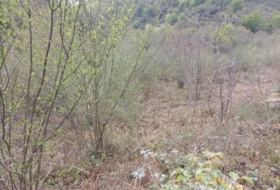 Río 49000&nbsp;m²