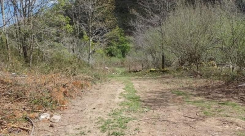 Cantàbria - Cosío - 49000m2