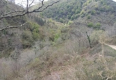 Terreno no urbanizable en venta en la España, Río, ref: TR127497 foto