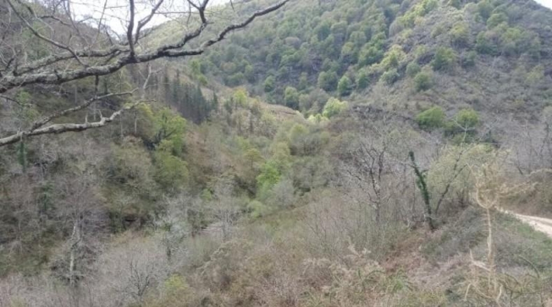 Cantàbria - Cosío - 49000m2