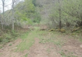 Terreno no urbanizable en venta en la España, Río, ref: TR127497 foto