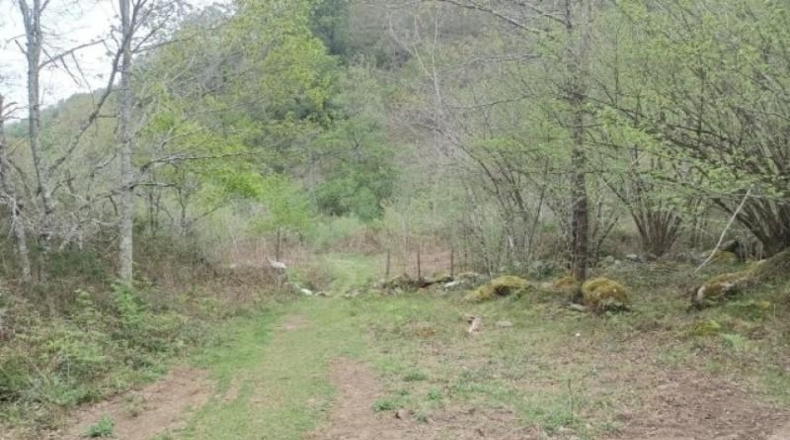 Cantàbria - Cosío - 49000m2