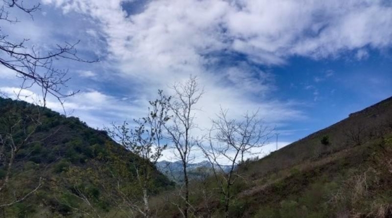 Cantàbria - Cosío - 49000m2