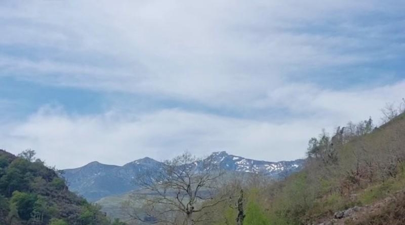 Cantàbria - Cosío - 49000m2