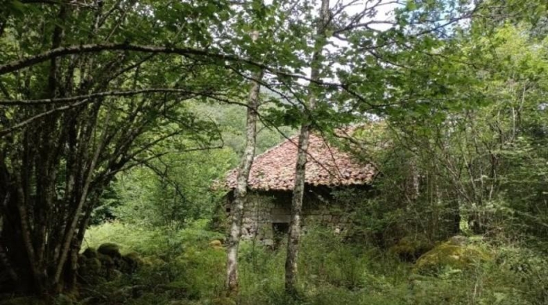 Cantàbria - Cosío - 49000m2
