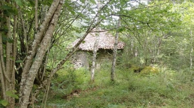 Cantàbria - Cosío - 49000m2