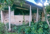 Casa de camp amb terreny en venda a la España, Montuïri, ref.: TR173823 foto