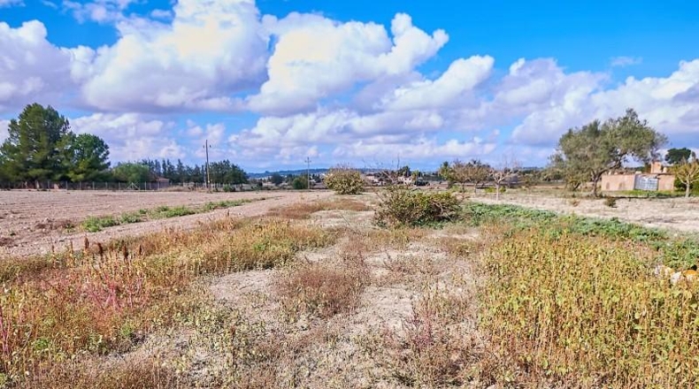 Balearic Islands - Montuïri - 2054m2