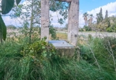 Casa de camp amb terreny en venda a la España, Montuïri, ref.: TR173823 foto