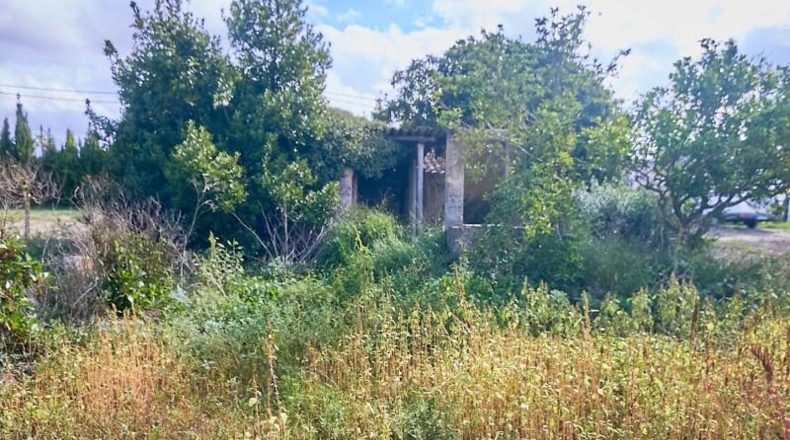 Balearic Islands - Montuïri - 2054m2