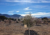 Casa de campo con terreno en venta en la España, Puerto Lumbreras, ref: TR151923 foto