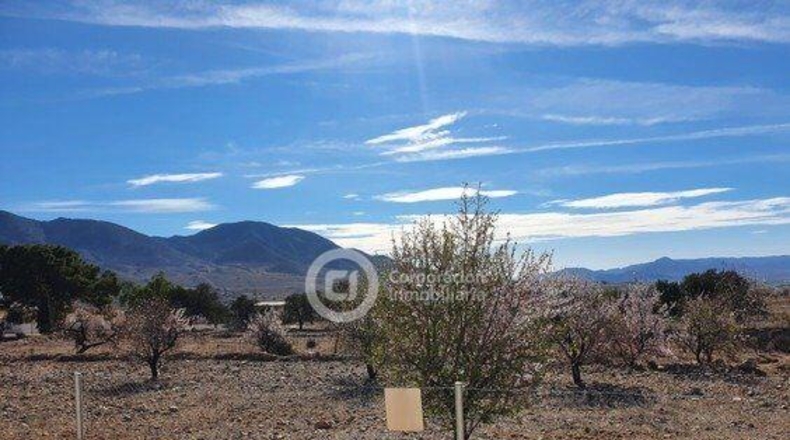 Murcia - Puerto Lumbreras - 1300m2