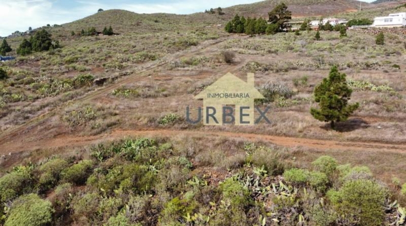 Santa Cruz de Tenerife - Granadilla de Abona - 20000m2