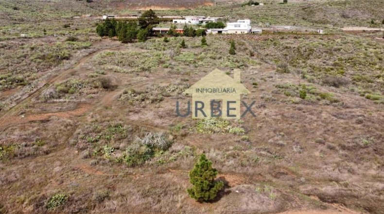 Santa Cruz de Tenerife - Granadilla de Abona - 20000m2