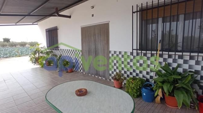 Murcia - Lorca - 12921m2