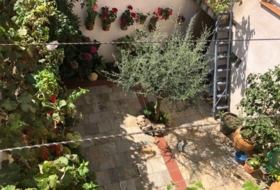 Foto 11