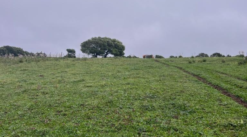 Cádiz - Barbate - 37000m2
