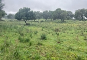 Terreny no urbanitzable en venda a la España, Barbate, ref.: TR121390 foto