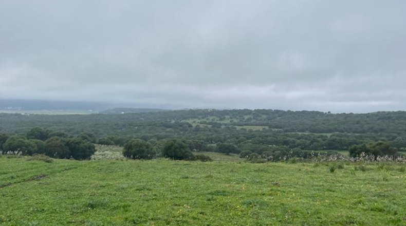 Cádiz - Barbate - 37000m2