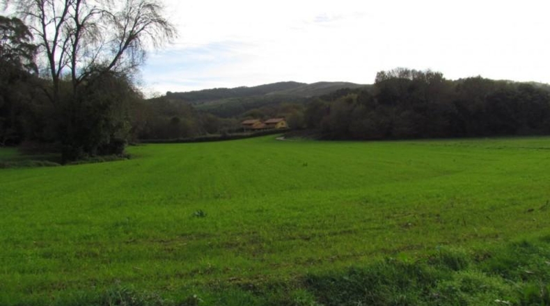 Cantabria - Ruiloba - 7447m2