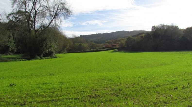 Cantabria - Ruiloba - 7447m2