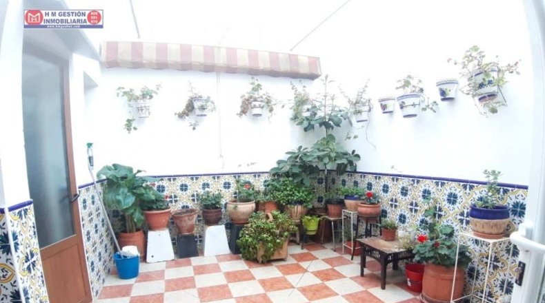 Ciudad Real - Alcázar de San Juan - 255m2