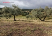Chalet independiente con terreno en venta en la España, Villanueva de Córdoba, ref: TR235636 foto