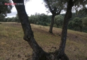 Chalet independiente con terreno en venta en la España, Villanueva de Córdoba, ref: TR235636 foto