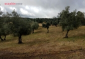 Chalet independiente con terreno en venta en la España, Villanueva de Córdoba, ref: TR235636 foto