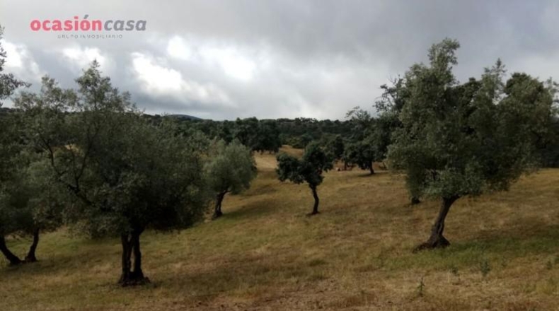 Córdoba - Villanueva de Córdoba - 310000m2
