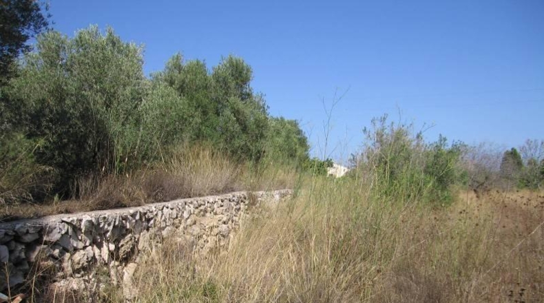 Alicante - Jávea - 1750m2