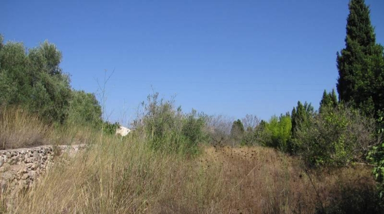 Alicante - Jávea - 1750m2