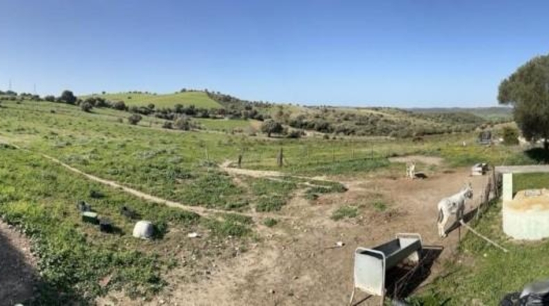 Cádiz - Vejer de la Frontera - 22000m2