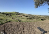 Загородный дом с участком на продажу в городе Vejer de la Frontera Фото