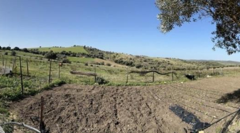 Cádiz - Vejer de la Frontera - 22000m2