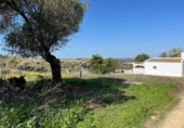 Загородный дом с участком на продажу в городе Vejer de la Frontera Фото