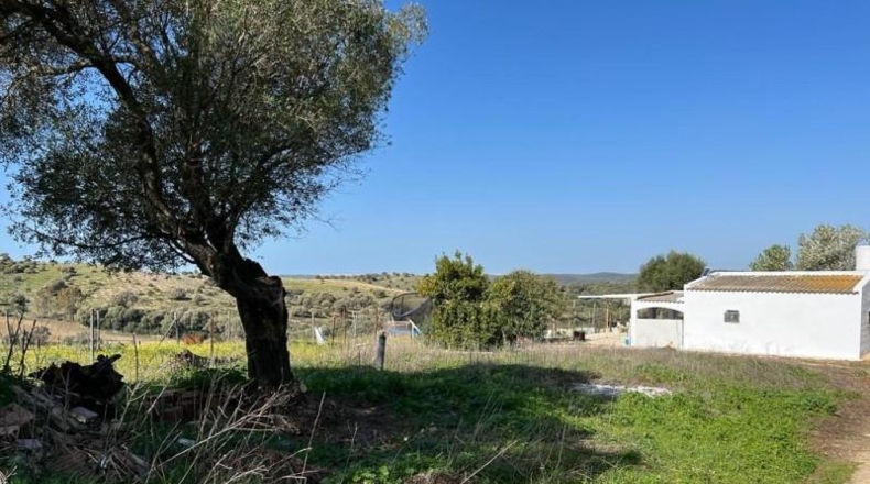 Cádiz - Vejer de la Frontera - 22000m2