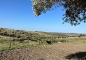 Загородный дом с участком на продажу в городе Vejer de la Frontera Фото