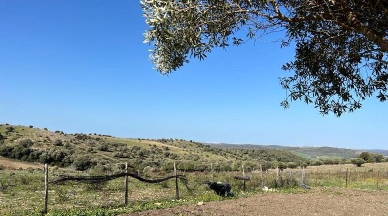 Cádiz - Vejer de la Frontera - 22000m2