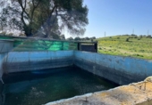 Загородный дом с участком на продажу в городе Vejer de la Frontera Фото