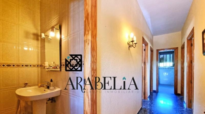 Córdoba - Córdoba - 3000m2