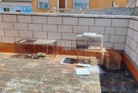 Foto 12