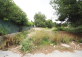Terreny no urbanitzable en venda a la España, Torrent, ref.: TR314400 foto