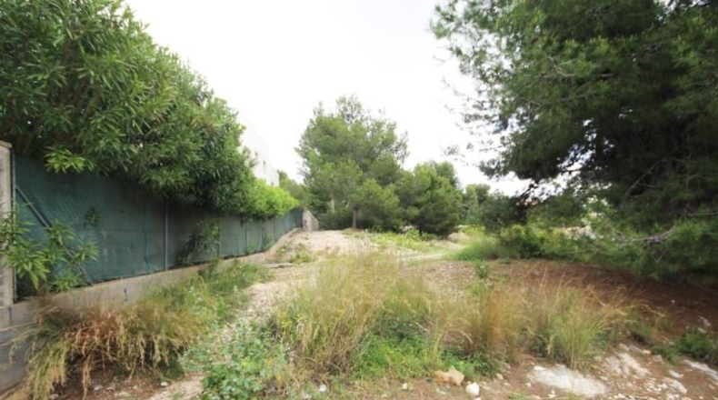 Valencia - Torrente - 667m2