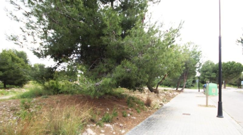 Valencia - Torrente - 667m2
