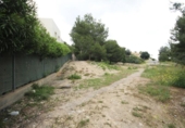 Terreny no urbanitzable en venda a la España, Torrent, ref.: TR314400 foto