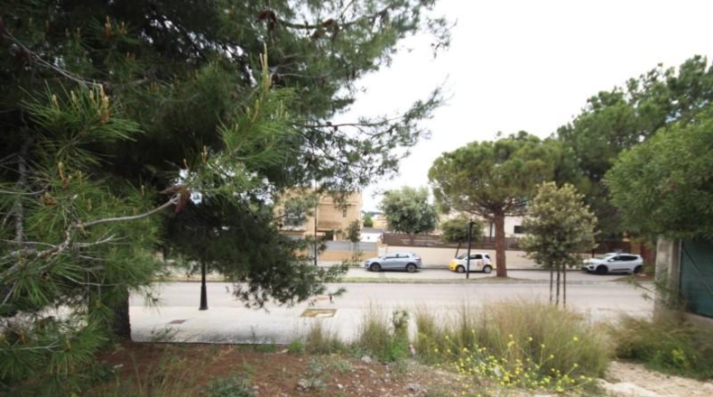 Valencia - Torrente - 667m2