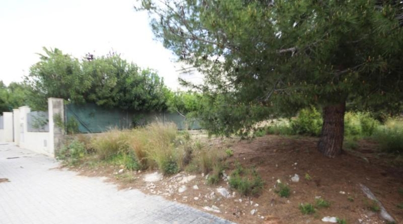 Valencia - Torrente - 667m2