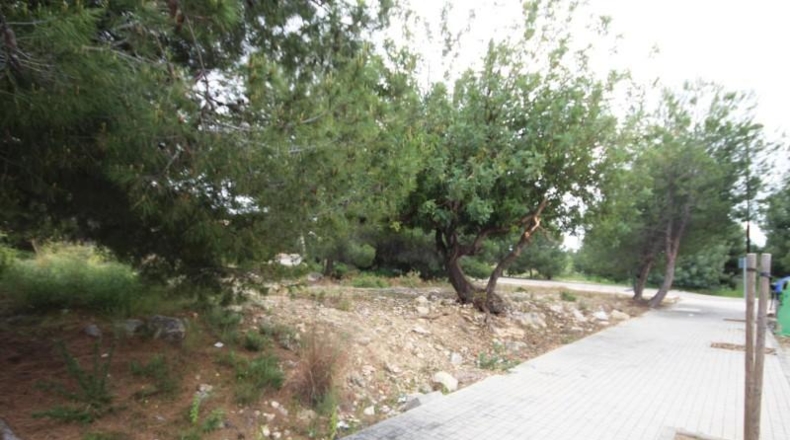 Valencia - Torrente - 667m2