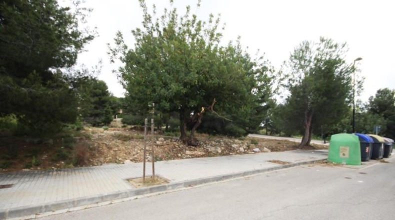 Valencia - Torrente - 667m2